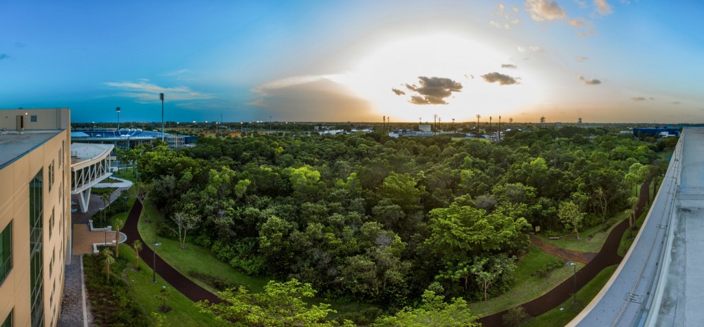 nature-preserve-pano-scaled down